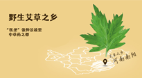 艾草越嫩越好，還是越久越好？悄悄告訴你：艾草這樣用，效果最好！