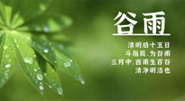 【二十四節(jié)氣灸】谷雨時節(jié)，用艾為您的健康加上一道保險！