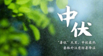 【三伏養(yǎng)生】至熱中伏，吃三樣，喝三樣，三大禁忌千萬(wàn)別犯，小心落下病根！