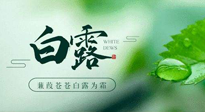 【二十四節(jié)氣灸】白露涼爽，養(yǎng)心肝脾胃、滋陰潤(rùn)肺是關(guān)鍵！