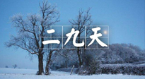 【三九養(yǎng)生】冬二九，扶陽補(bǔ)腎氣，讓你陽氣充足一整年！