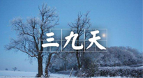 【三九養(yǎng)生】冬三九，三九第三灸，一年中最后艾灸黃金9天！