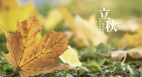 【節(jié)氣養(yǎng)生】甲辰立秋，“2做”、“2不做”，護(hù)好我們身體的正氣，預(yù)防外邪的侵襲！
